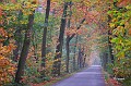 Beverbeek herfstkleuren